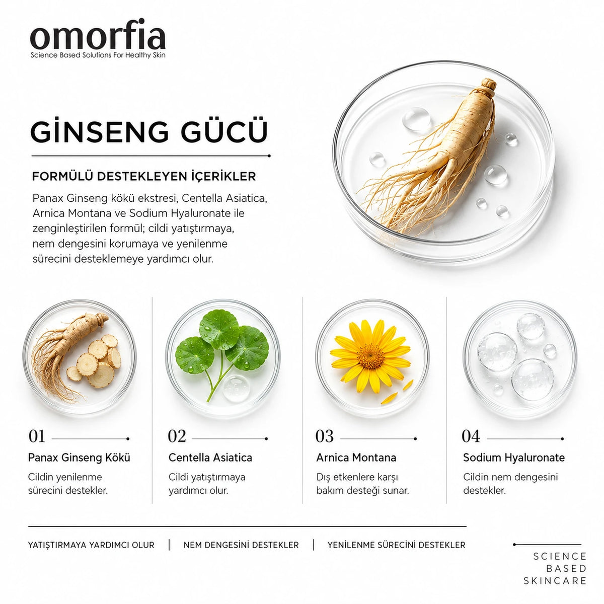 Ginseng Peeling içerikleri: Panax Ginseng, Centella Asiatica, Arnica Montana ve Sodium Hyaluronate