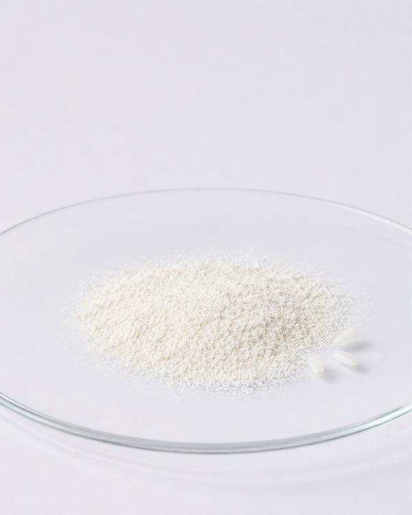 Rice / Oryza Sativa